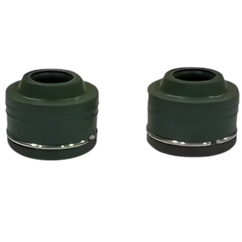 Karizma R Wall Oil Seal Standard