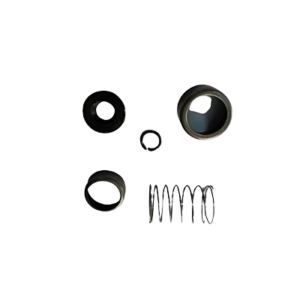 Access 125 CC New Model Band-X Spring Kit Standard