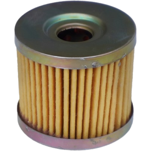 Access 125 CC New Model Oil Filter Standard